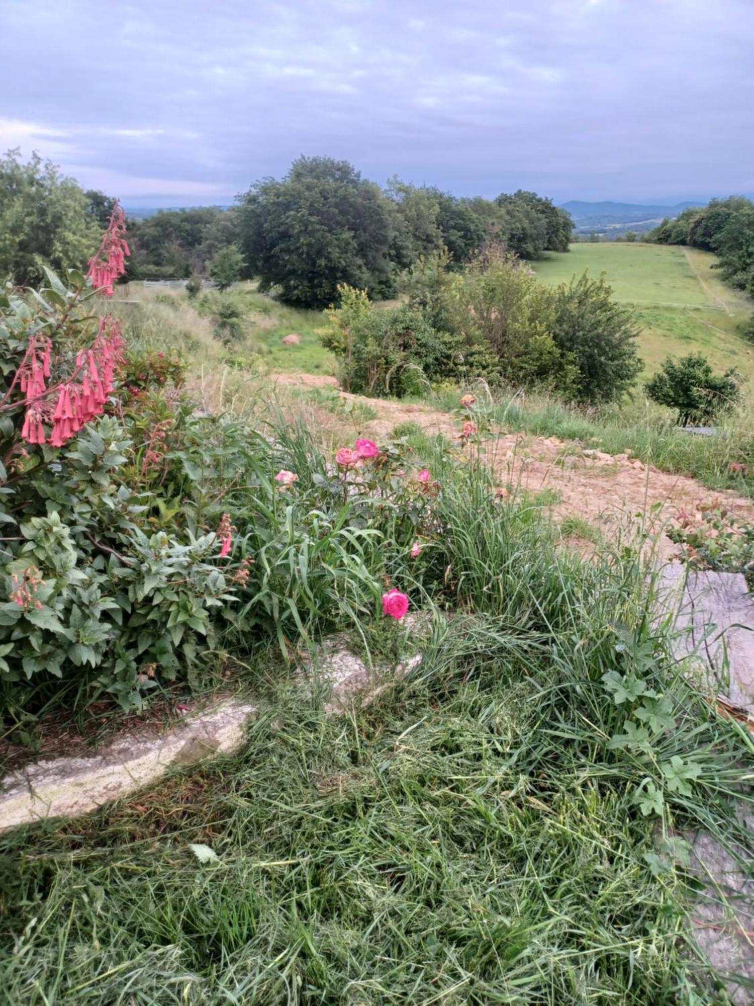 Willa La Biste Mirepoix  Zewnętrze zdjęcie